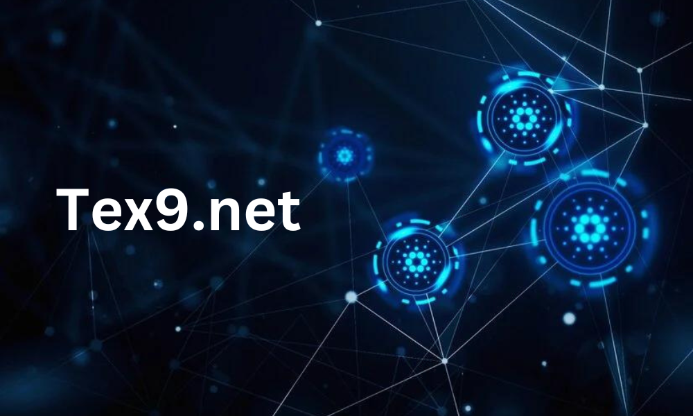 6 Reasons Your Business Needs Tex9.net for Asset Management